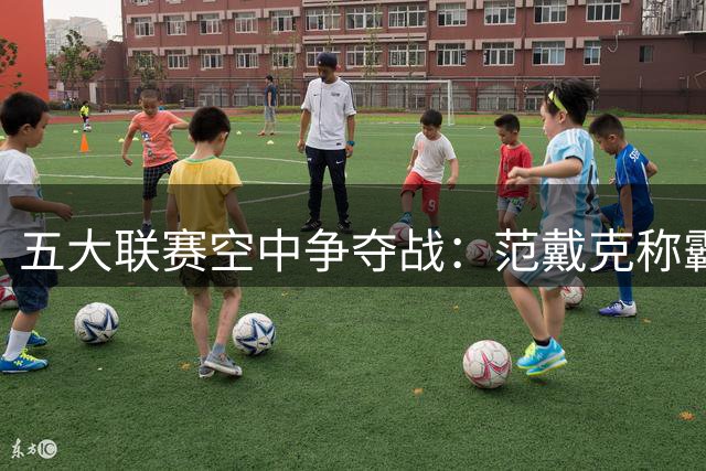 五大联赛空中争夺战：范戴克称霸榜单，多克希紧随其后