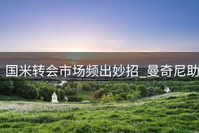 国米转会市场频出妙招 曼奇尼助力蓝黑军团暗战尤文