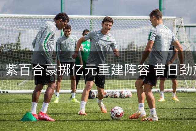 紫百合豪掷亿元重建阵容 昔日劲旅能否重返欧战？
