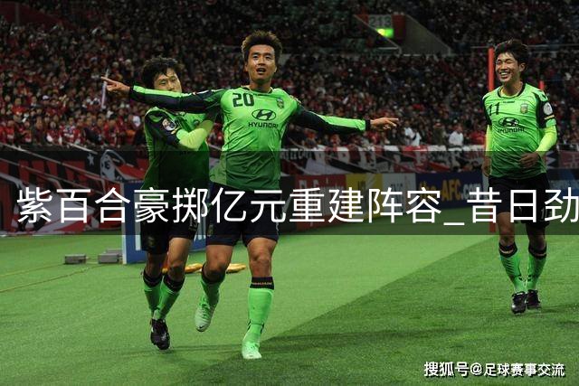 紫百合豪掷亿元重建阵容 昔日劲旅能否重返欧战？
